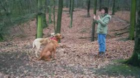 Hundeübung mit Anji.jpg