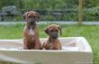 DSC_0435-113.jpg