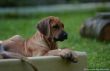 DSC_0299-058.jpg