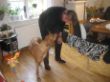 Rooties 2090.jpg