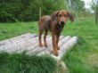 My Ruthy 069.jpg