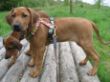 My Ruthy 070.jpg