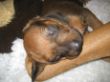 Bild 355.jpg