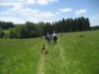 Treff der Rooties 2 002.jpg